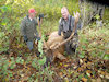 BC Elk Hunting