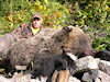 Grizzly Hunts BC